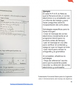 Functional Cognition Book Goal Management Training Honeycomb